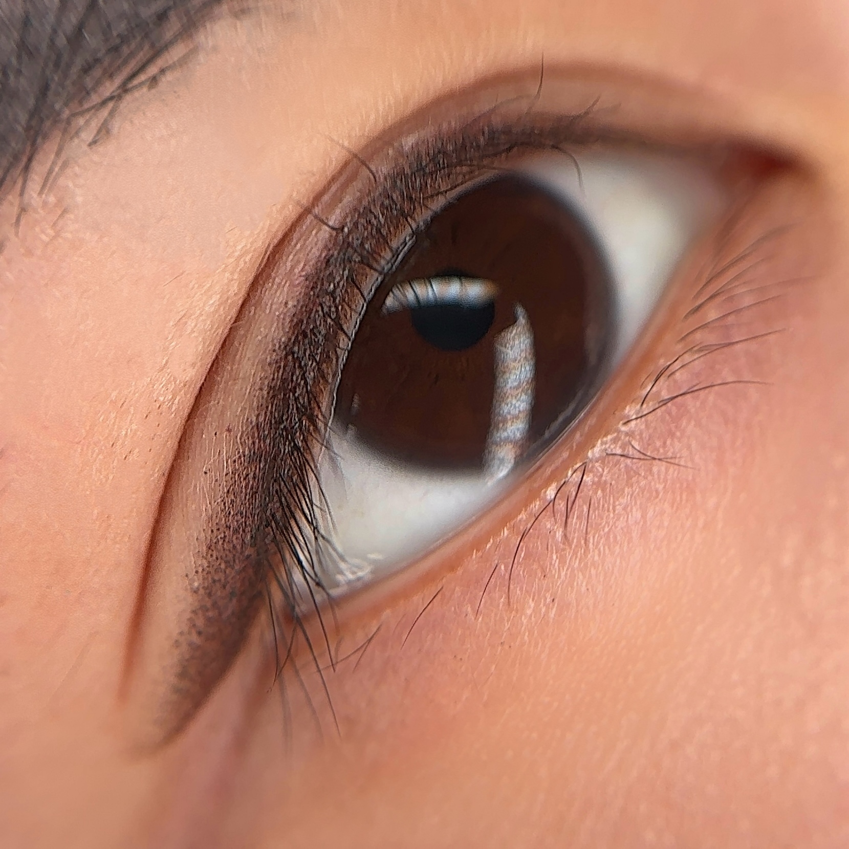 Shadow Liner eyeliner in Rochester Hills Michigan